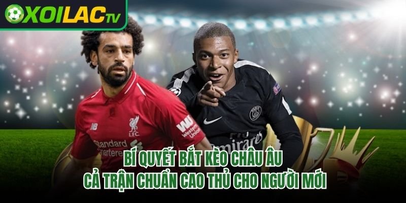 Bí Quyết Bắt Kèo Châu Âu Cả Trận Chuẩn Cao Thủ Cho Người Mới