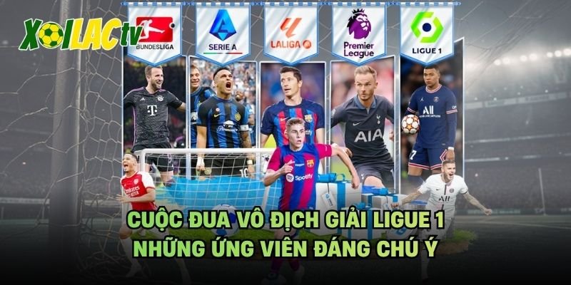 Cuộc Đua Vô Địch Giải Ligue 1 – Những Ứng Viên Đáng Chú Ý