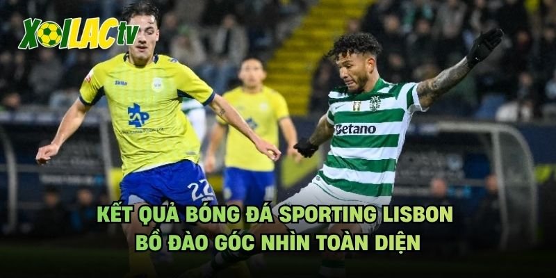 Kết Quả Bóng Đá Sporting Lisbon Bồ Đào Góc Nhìn Toàn Diện