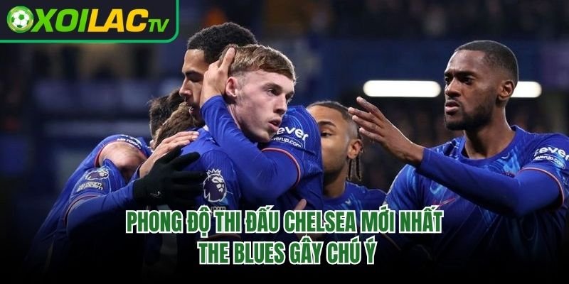 Phong Độ Thi Đấu Chelsea Mới Nhất – The Blues Gây Chú Ý