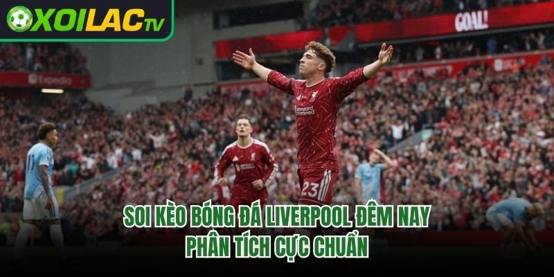 Soi Kèo Bóng Đá Liverpool Đêm Nay – Phân Tích Cực Chuẩn 