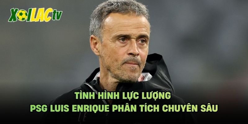 Tình Hình Lực Lượng PSG Luis Enrique Phân Tích Chuyên Sâu